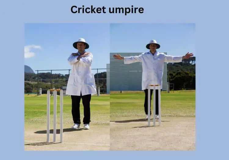 cricket umpire